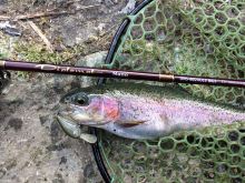 Abu Garcia Prut Diplomat Nano MGS XULS 1,83 m 0,3-2,5 g (5)