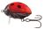 Salmo Wobler Lil Bug Floating Ladybird