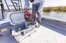 Plano Chladící Box Frost Cooler White 30 l (11)