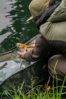 Korum Podložka Camo Fast Mat + Vážící Sak Camo Compact Weigh Sling (3)