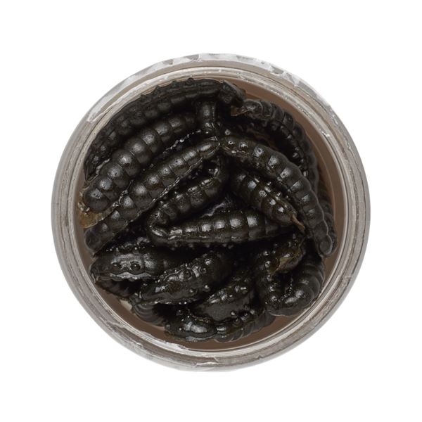 Berkley Gumová Nástraha PowerBait Power Honey Worm 2,5 cm 25 ks Black