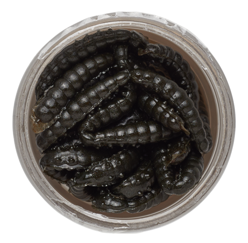 Levně Berkley gumová nástraha powerbait power honey worm 2,5 cm 25 ks black