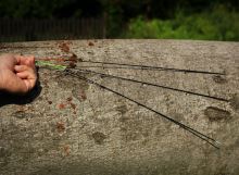 Giants fishing Prut Black Method Feeder 3 m 40-90 g (2)