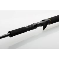 Savage Gear Prut SG2 Jerk Specialist BC 1,98 m 30-80 g (4)