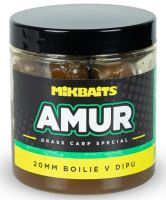 Mikbaits Boilie V Dipu Amur Range 250 ml (2)
