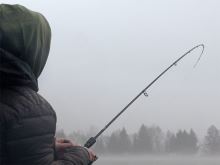 Delphin Prut Bang Darx 2,1 m 2-7 g (3)