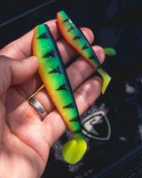 Fox Rage Gumová Nástraha Zander Pro Shad Fire Tiger (1)