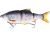Westin Gumová Nástraha Ricky The Roach Inline Slow Sinking Real Roach 15 cm 47 g