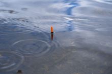 Korum Splávek Pro Quill (4)