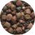 Mivardi Vnadící Pelety Rapid Multi Mix 5 kg