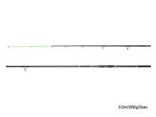 Delphin Prut Dunay Carp 3 m 200 g (1)