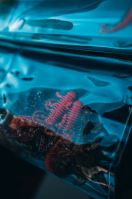 Berkley Pouzdro Na Nástrahy URBN Utility Lure Roll (2)