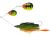 Westin Spinnerbait Monstervibe Colorado V2 Bling Perch 65 g