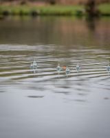 Matrix Splávek 12 mm Foam Pellet Waggler (14)