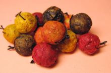 Chytil rohlíkové boilies 40g 14mm (1)