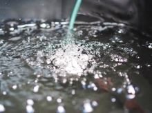 Madcat Foldable Live Bait Bucket 50l (11)