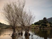 Giants Fishing Stojan High Pod 3 Rods Black (4)