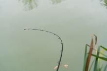 Korum Prut Limitless Feeder 13 ft 200 g (12)