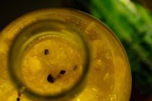 My-Baits Tekutá Potrava Liquid Food "Essential Yellow Trigger" 500 ml (3)