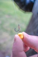 Korum Návazec Bait Spike Hook Hairs Barbed 5 ks (6)