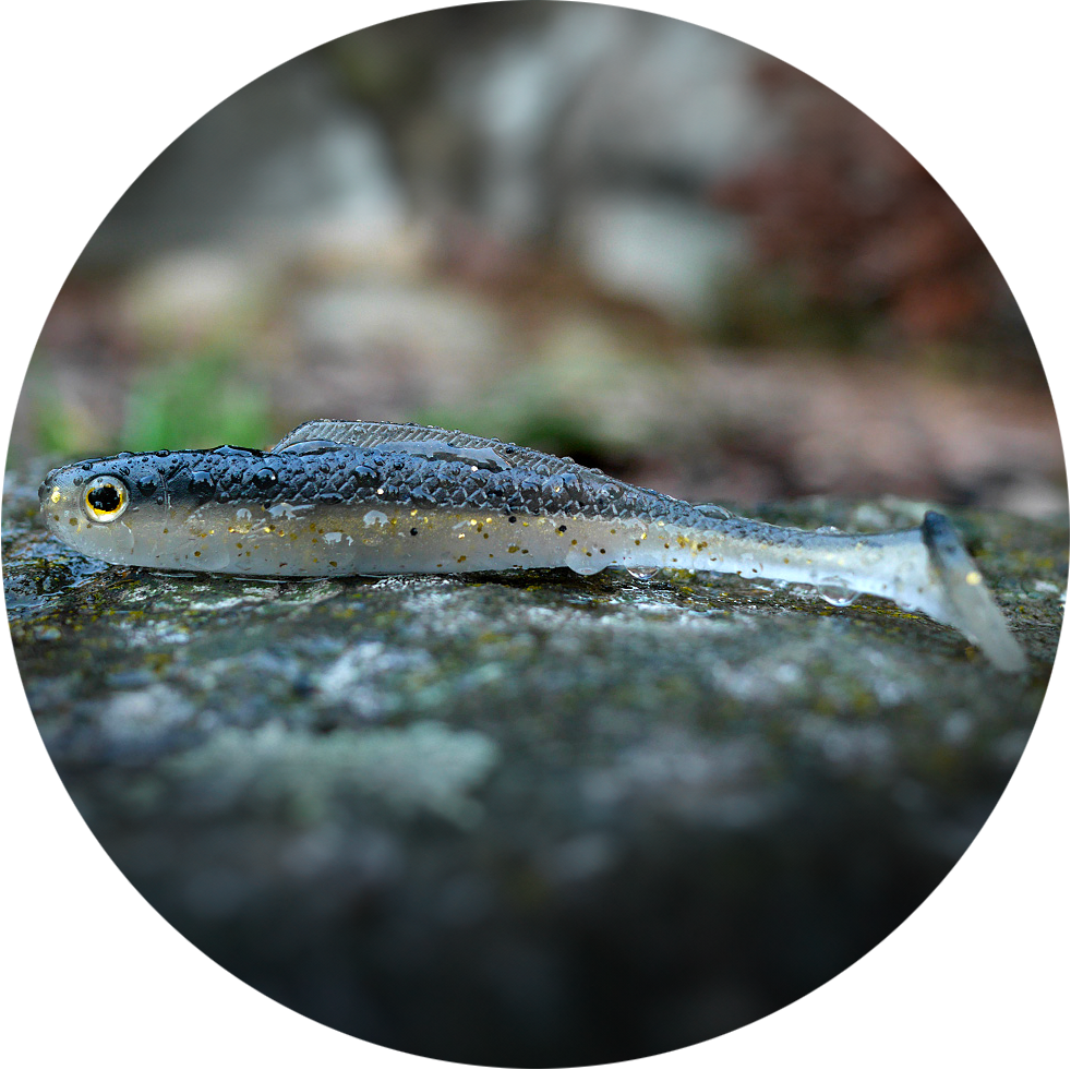 Levně Redbass gumová nástraha ripper kicker bass - xxl 200 mm 50 g