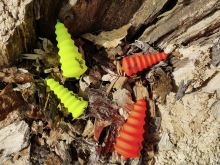 Black Cat Podvodní Splávek U Float Tree Fluo Červená (6)