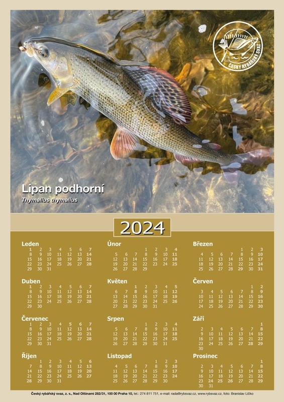 Levně Črs nástěnný kalendář jednolistý na rok 2024 (bez textu)
