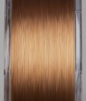 Prologic Vlasec Density Carp Mono Brown 1000 m (1)