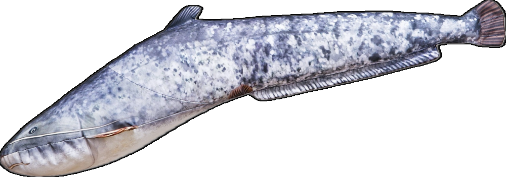 Levně Gaby plyšová ryba sumec malý 62 cm