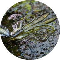 RedBass Gumová Nástraha Nymfa Olive/Silver - XXL 20 cm 33 g