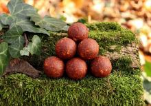 Mivardi Boilies Rapid Platinum ProActive B17 (3)