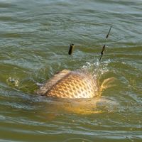 One More Cast Olovo The Magic Wand Inline Lead (2)