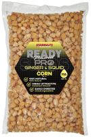 Starbaits Kukuřice Ready Seeds Pro Ginger Squid - 1 kg