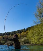 Fox Prut Eos Pro Rods 3 m 3 lb (6)