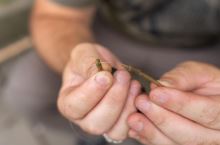 Korum Montáž Smokescreen Running Rig Kit (5)