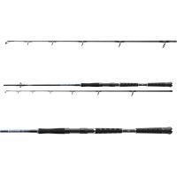 Daiwa Prut Sealine Pilk 2,25 m 50-125 g (1)