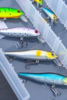 Zebco Wobler Demonic Zanderbait Herring 9 cm 9,9 g (2)