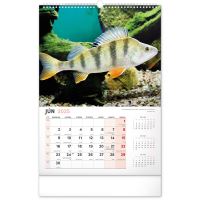 PGCZ Nástenný kalendár Rybársky 2025 SK 33×46 cm (6)