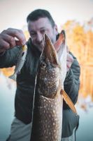 Fox Rage Gumová Nástraha Jointed Replicant Silver Halo (2)