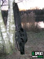 R-SPEKT Double 13´ polstrované černé pouzdro na 2 pruty (9)