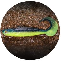 RedBass Gumová Nástraha Twister Kixter Dark/Signal Yellow UV - L 100 mm