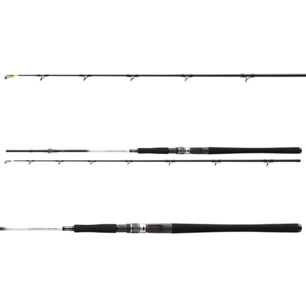 Daiwa Prut Grandwave Halibut 2,25 m 15-25 g 2 Díly