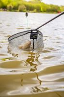 Preston Innovations Podběráková Hlava Carbon F1 Latex Landing Net (3)