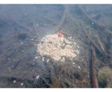 Korum Krmítko Double Method Feeder (8)