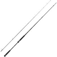 Daiwa Prut Morethan AGS ST 9'3'' 7 - 35 g