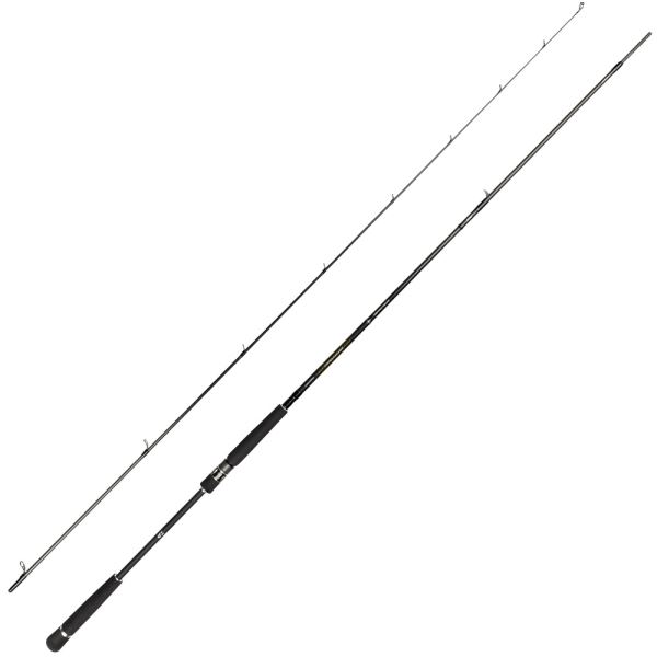 Daiwa Prut Morethan AGS ST 10'2'' 5 - 25 g