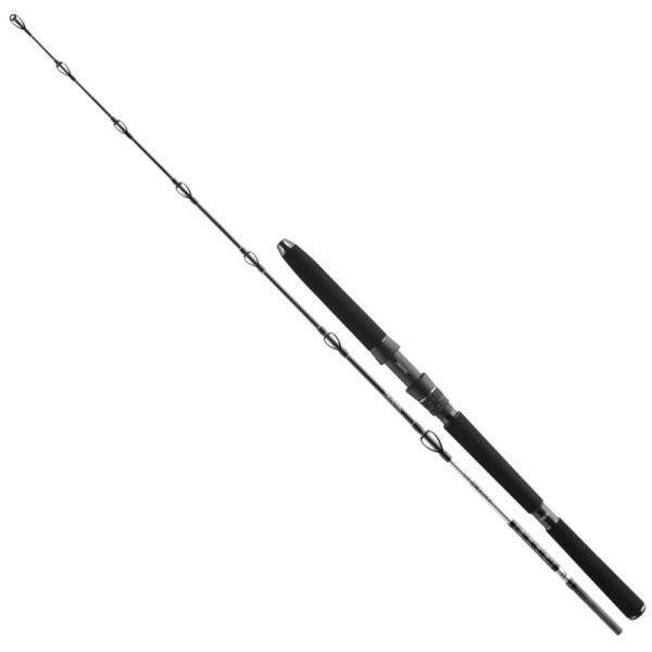 Daiwa Prut BG Deep Sea 1,75 m 30 lbs