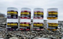 Carp Inferno Balanced Boilie Banán Oliheň 150 m (3)