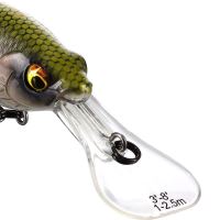 Westin Wobler BuzzBite Crankbait Suspending Official Roach 6 cm 10 g (2)
