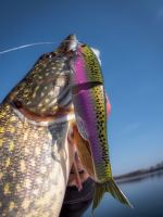 Berkley Gumová Nástraha PowerBait Nessie Arctic Char (6)